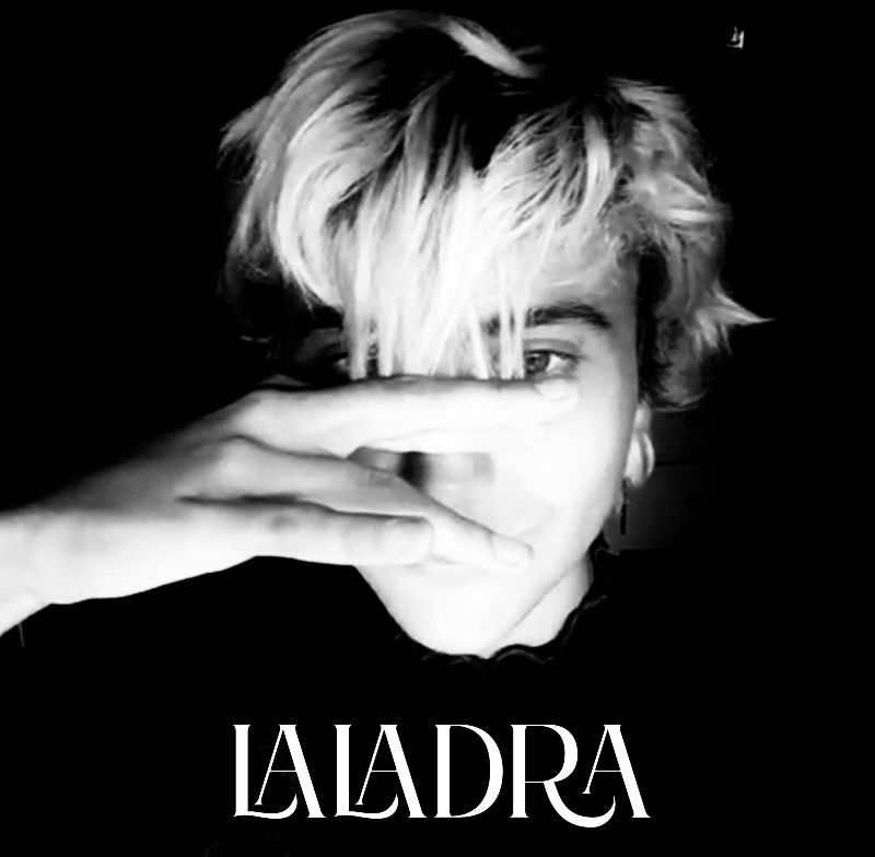 poggipollini regazzi - laladra - copertina