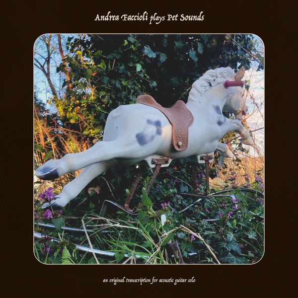 Andrea Faccioli plays Pet Sounds - copertina