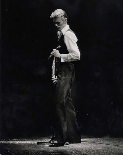 David Bowie - The Thin White Duke