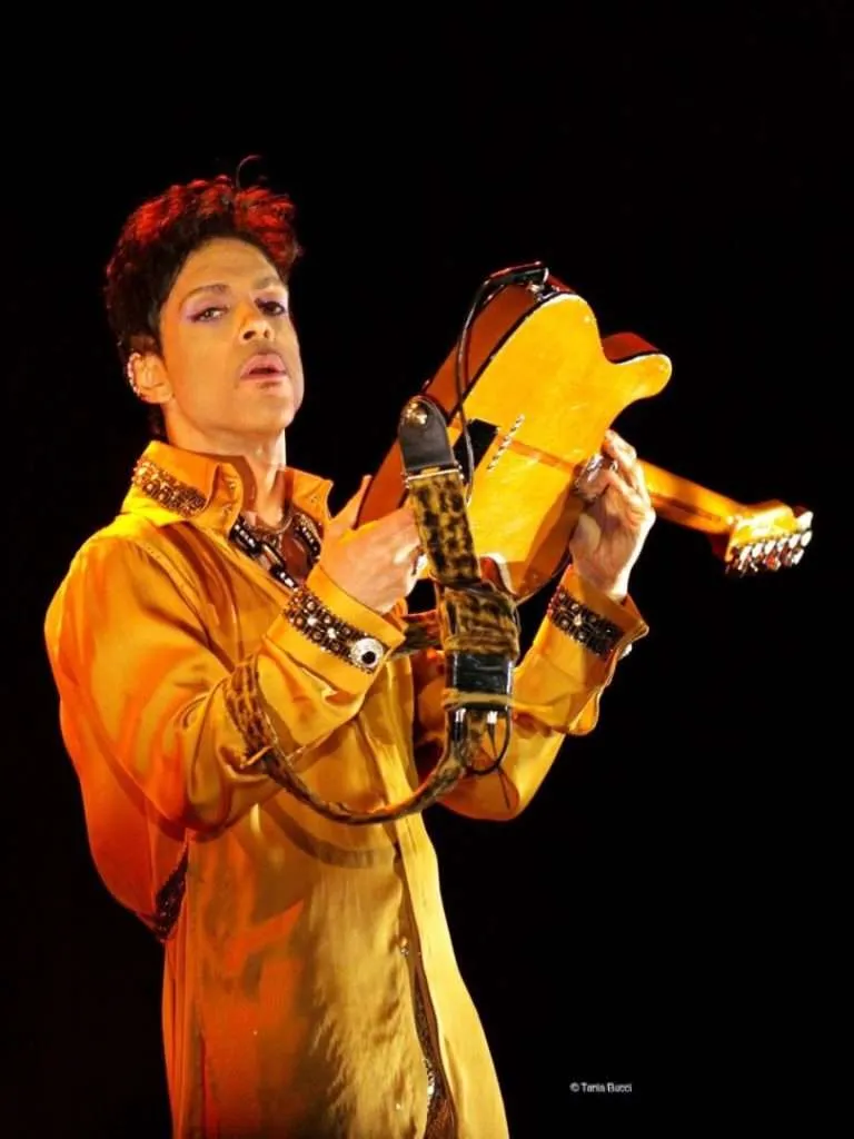 Prince-15-Luglio-2011-Perugia-768x1024